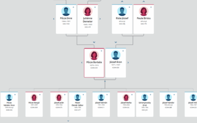 Hány testvére volt József Attilának?