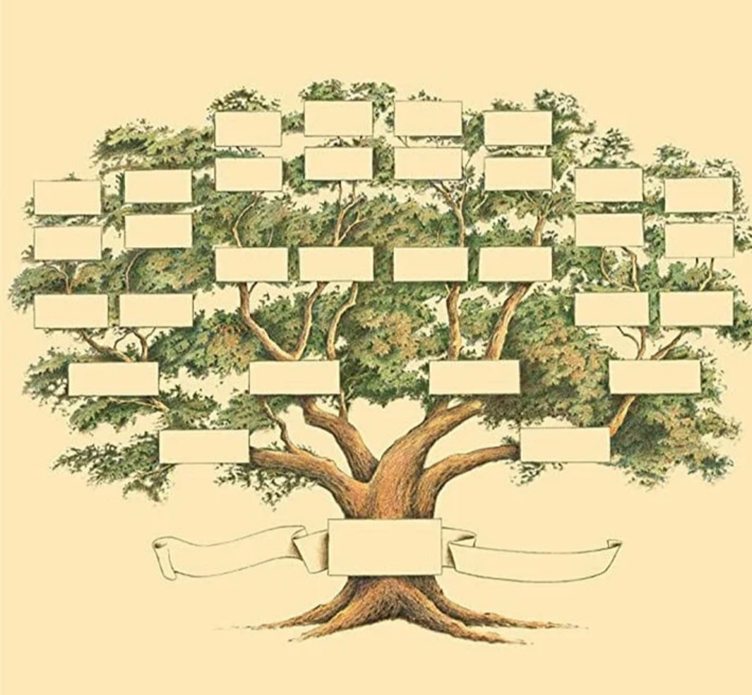 Családfa kutatás illusztráció