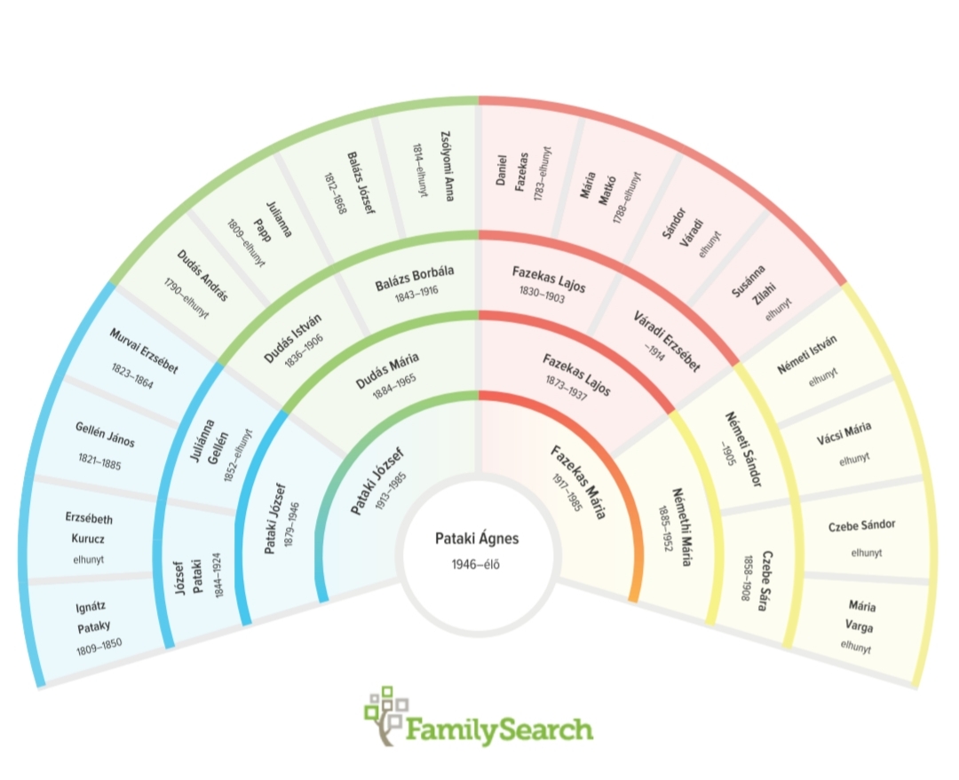 5 generációs családfa
